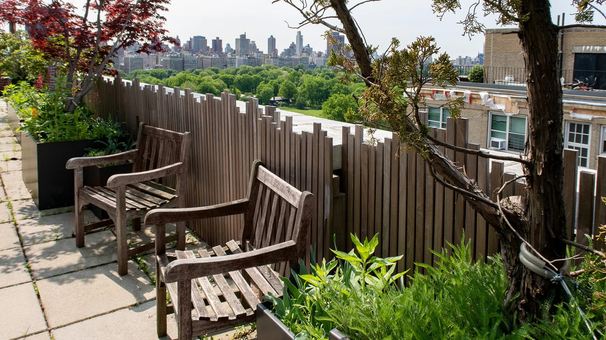 Central Park View — Blue Dahlia